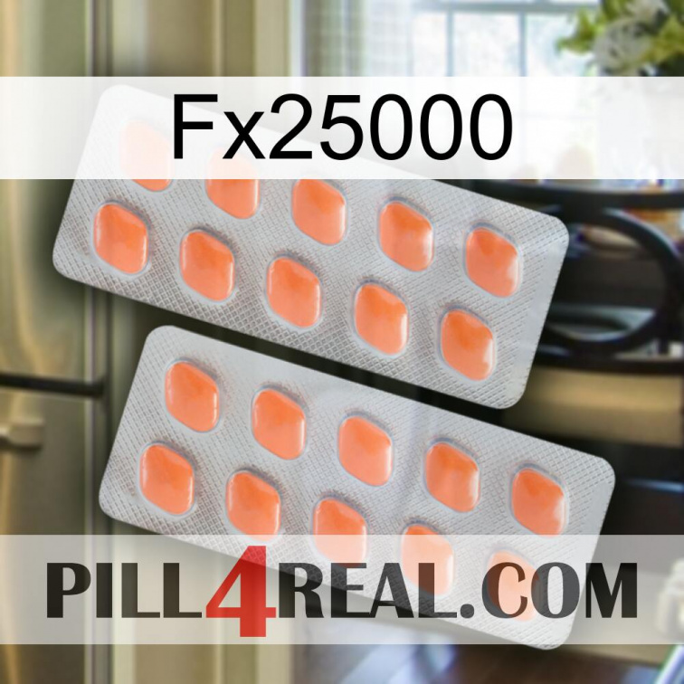 Fx25000 27